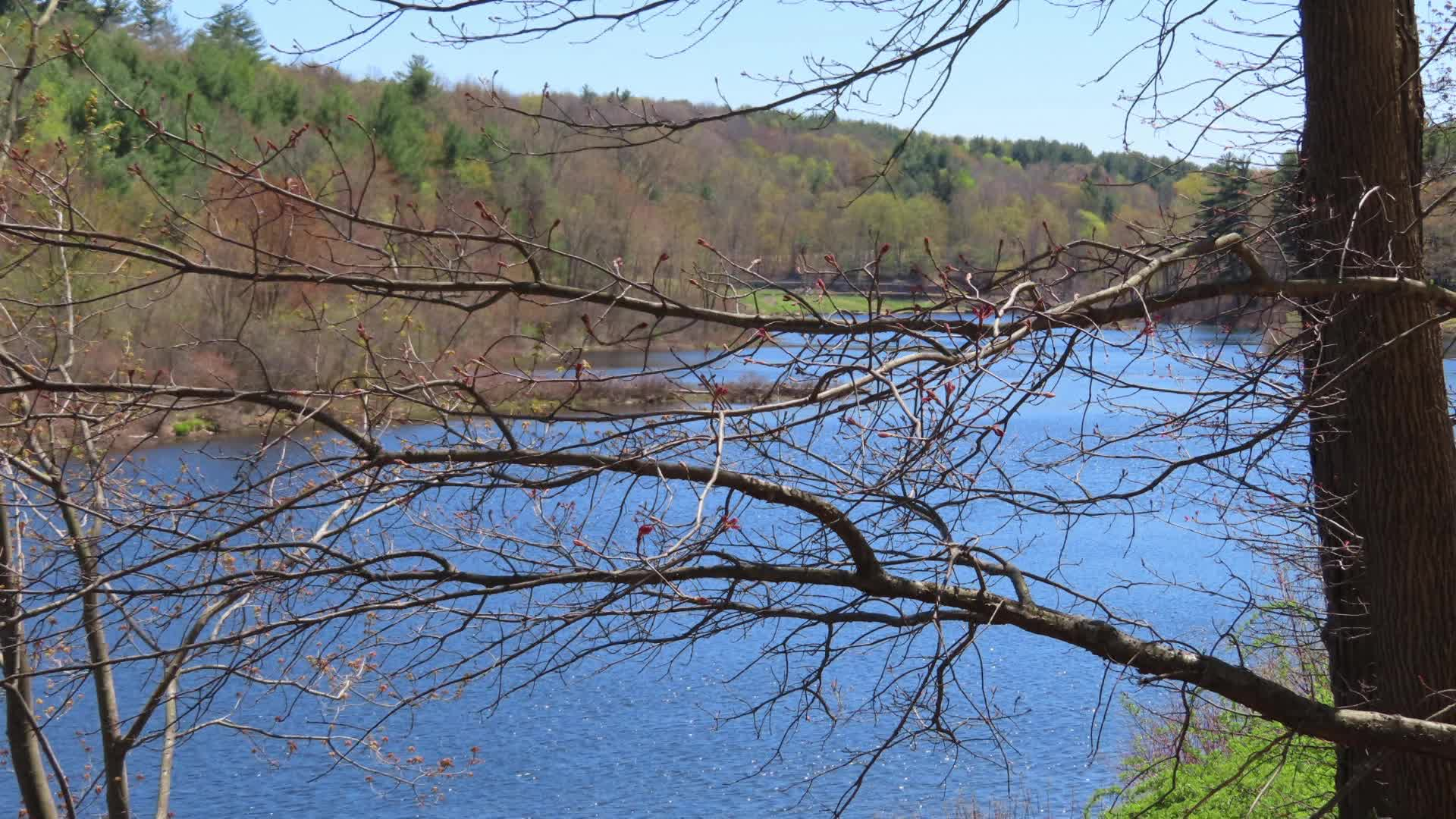 Thumbnail image for Tired of Winter?  Scenes of a Sunny Southbridge!